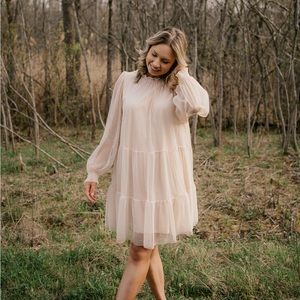 Baby Pink Dress - Size Large